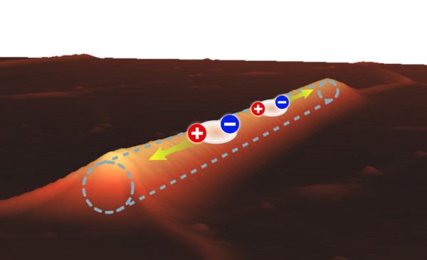 Florian Dirnberger_Vinod Menon "excitonic" wire reasearch