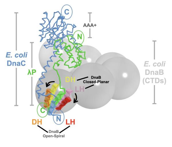 David Jeruzalmi Research