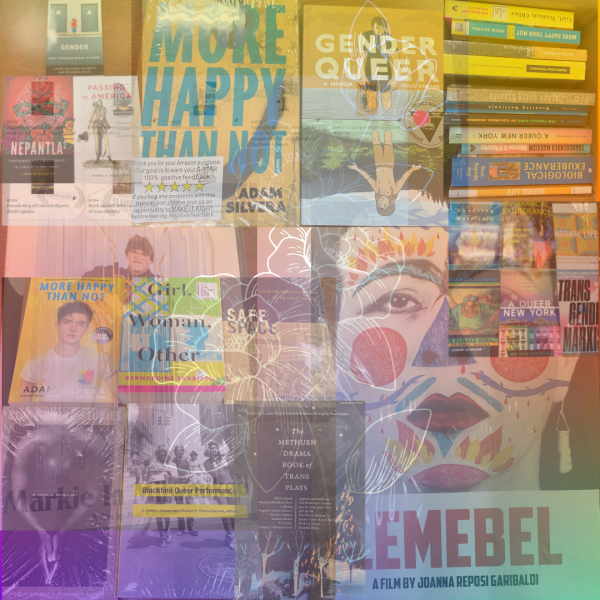 copy_of_ccnys_queer_library_collection.png The City College of New York