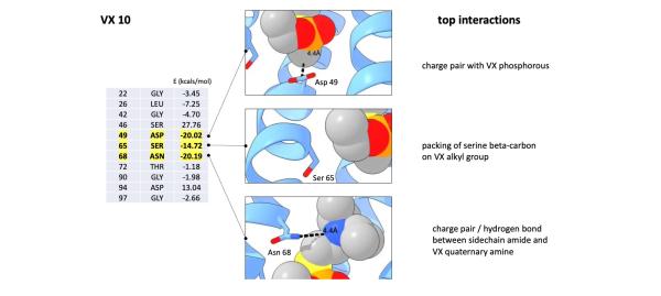 Ronald Koder-led CCNY team creates first ever selective VX neurotoxin ...