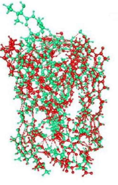 Green Potassium Channel_Michael Green research