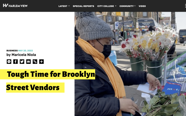 Harlem View's Street Vendors video wins top award from SPJ