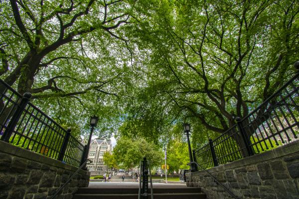 CCNY Geen Colleges 2024