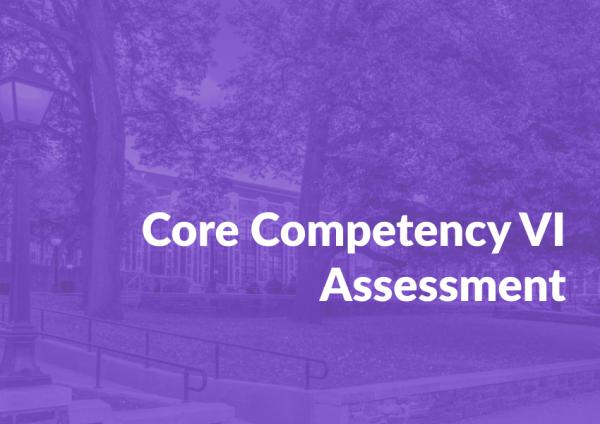 Core Competency VI Assessment