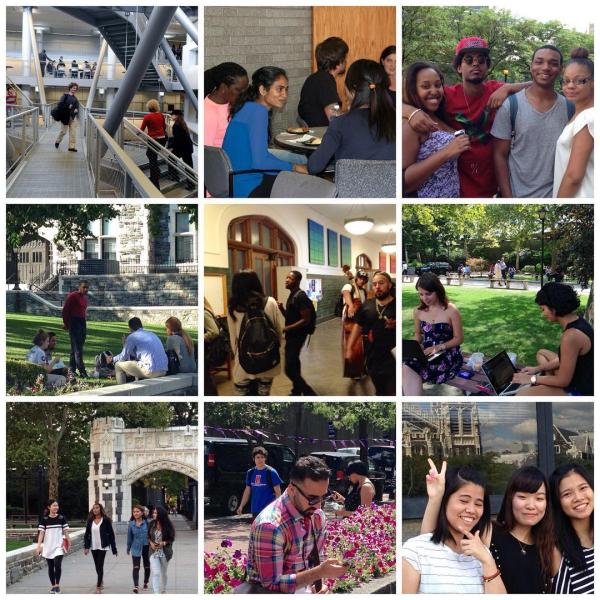 undergraduate studies at ccny