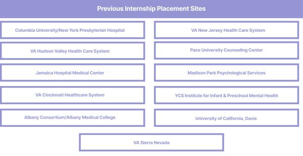 Previous Internship Placement Sites: Montefiore Medical Center, Maimonides Medical Center, Columbia University/New York Presbyterian Hospital, VA Hudson Valley Health Care System, Jamaica Hospital Medical Center, VA Cincinnati Healthcare System, Albany Consortium/Albany Medical College, Bellevue Hospital, VA New Jersey Healthcare System, Madison Park Psychological Services, Pace University Counseling Center, YCS Institute for Infant & Preschool Mental Health, UC, Davis, VA Sierra Nevada