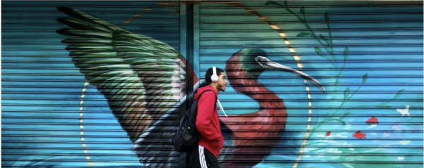 Photos from Emily Raboteau's "Lessons for Survival: Mothering Against 'the Apocalypse'"