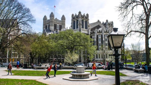 The campus of City College in summer