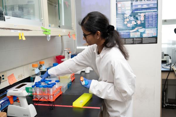 Steinman Hall Lab image
