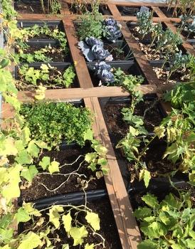 RoofPod Harvest