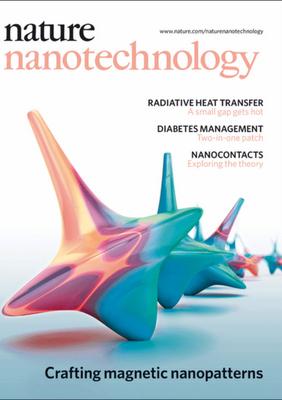 Elisa Riedo Nature Nano paper