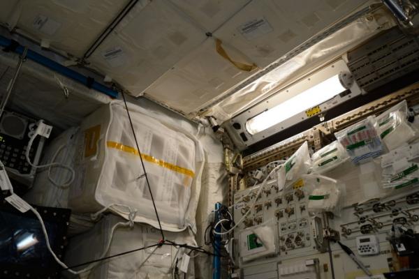 Fruit fly cultures in vented fly boxes aboard the ISS