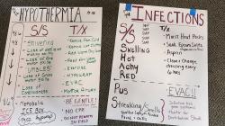Signs of Hypothermia, Signs of Infection