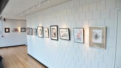 Gallery in hallway