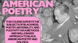 BLST 31816: African American Poetry