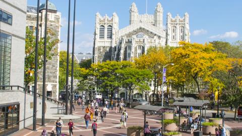CCNY Campus in the fall