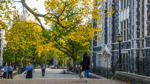 CCNY Campus Fall Season 