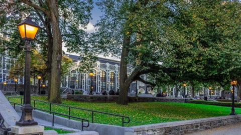 CCNY Quad