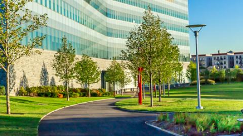 CCNY Center for Discover and Innovation