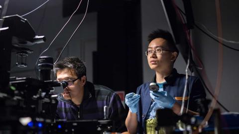 Mano's Lab Background