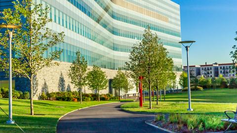 CCNY Center for Discovery and Innovation