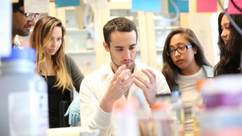 CCNY a top research school for US undergraduates