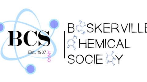 BCS Logo