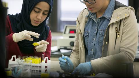 CCNY introduces accelerated Post Baccalaureate Pre-Medical Certificate program