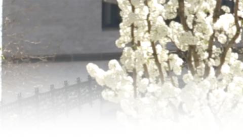 masters program in mental health counseling the city college of new york