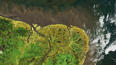 Satellite image of Yukon River delta