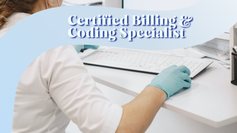 C Programming Course (8 Courses Bundle, Online Certification)
