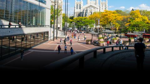 CCNY campus