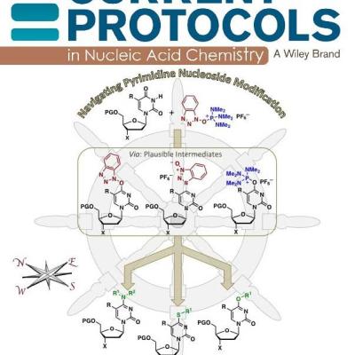 Mahesh_Akulat_Nucleic_Acid_Protocol