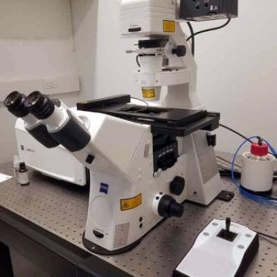 Zeiss LSM 880 Confocal Microscope