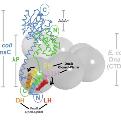 David Jeruzalmi Research