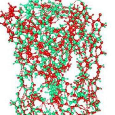 Green Potassium Channel_Michael Green research