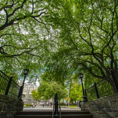 CCNY Geen Colleges 2024