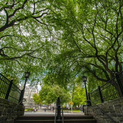 CCNY Geen Colleges 2024