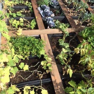 RoofPod Harvest