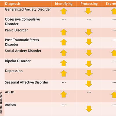 Novel MAS model linked emotion regulation 