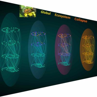 Hernan Makse_extinction research