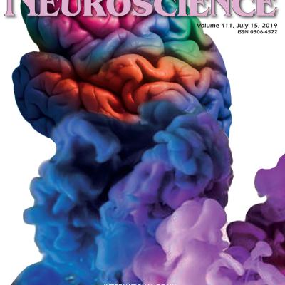 Francesca Arese Lucini_brain transitions_research