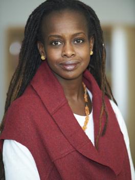 Professor Adeyinka Akinsulure-Smith