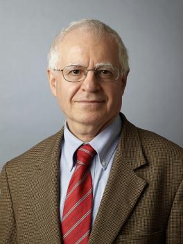 Professor Feridun Delale