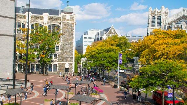 CCNY Campus
