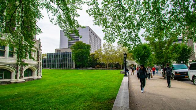 CCNY, which is celebrating its 175th anniversary, has made the Princeton Review Guide to Green Colleges for the fifth straight year.