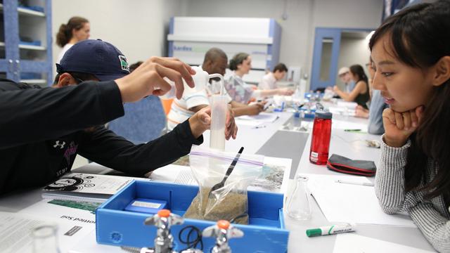 Students in a science lab