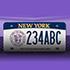 Click to view Introducing CCNY License Plates