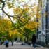 Click to view CCNY Rankings Continue Upward Trend