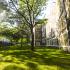 Click to view CCNY Green